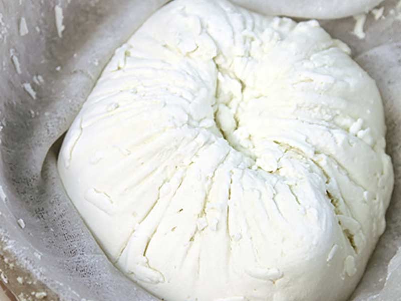 طرز تهیه پنیر سنتی تبریز در خانه | پنیر لیقوان خانگی