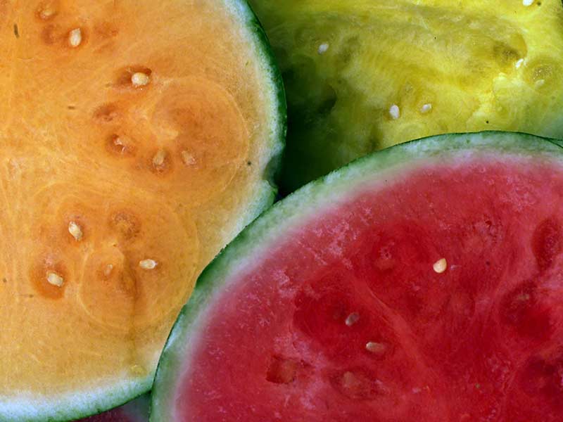 تشخیص هندوانه قرمز و سفید به 11 روش طلایی و ساده
